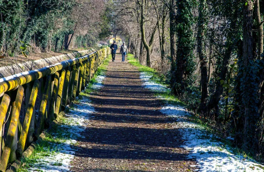 Création d’allées